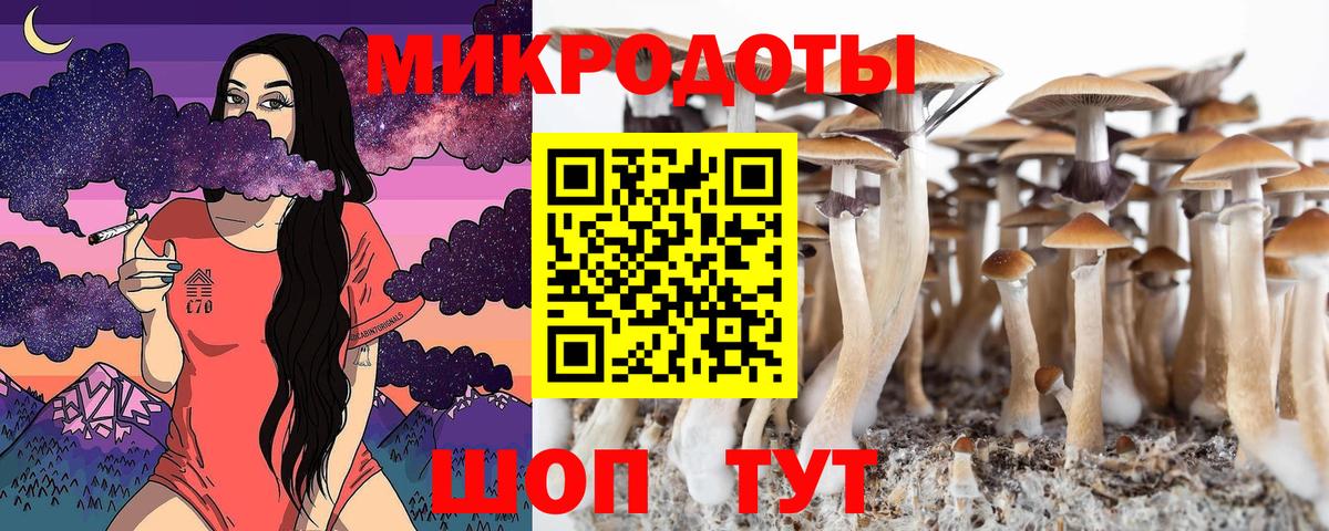 Асино  Псилоцибиновые грибы MAGIC MUSHROOMS  Галлюциногенные грибы прущие грибы  Вход с VPN 